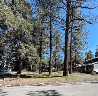 0 Sheep Creek Dr, Wrightwood, CA 92397