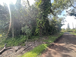 15-2716 Opelu St, Hawaiian Beaches, HI 96778