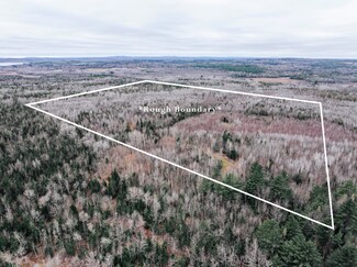 M9 L19-A2 Deer Run, Stetson, ME 04488