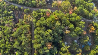 88 Deodar Dr, Brookeland, TX 75931