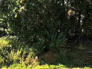 3682 SW Vollmer St, Port Saint Lucie, FL 34953