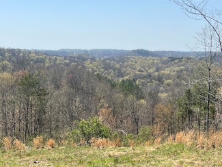N Side Bigley Ridge Rd Unit LotWP001, Long Bottom, OH 45743