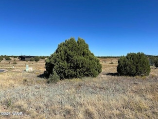 1181 S Ridgeway Place, Show Low, AZ 85901