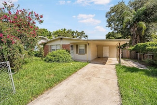 1206 E Ida St, Tampa, FL 33603