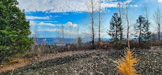 NNA 25 Acres Otter Ln, Naples, ID 83847