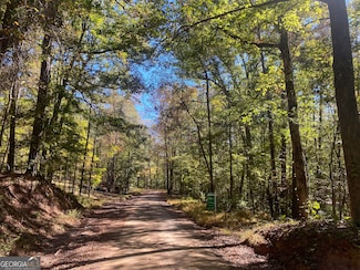90 +/- ACRES English Rd, Forsyth, GA 31029