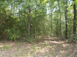 0 Cypress Ck Dr Off Sales Landing Rd Unit 132866, Camden, TN 38320