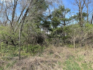 VL1 Ottokee Dr, Sherman Township, MI 49091