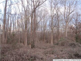52 Highway 178 Hwy Unit 178, Holly Springs, MS 38635