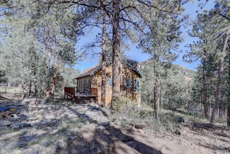 1999 Roland Dr, Bailey, CO 80421