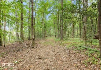 LOT 6 Parker Point, Cornelia, GA 30531