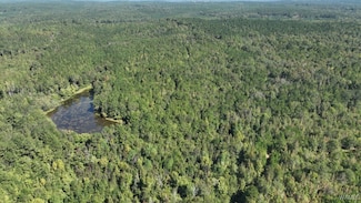 00007 Spring Dr, Sweet Water, AL 36782