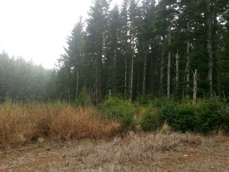 0 Roosevelt Beach Unit 756956, Pacific Beach, WA 98571