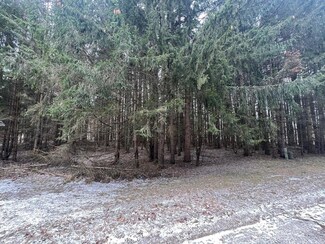 9185 White Pine Dr Unit 95, Canadian Lakes, MI 49346