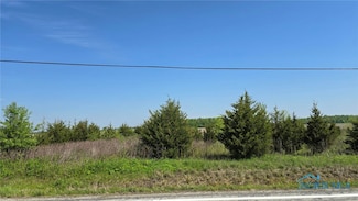 14838 Ohio 18, Holgate, OH 43527