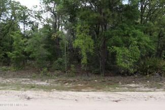 326 Country Living Cir, Melrose, FL 32666