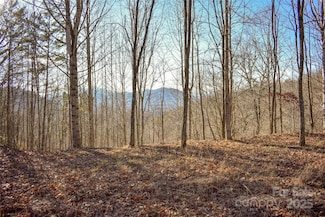 10 Ridge Place, Bryson City, NC 28713