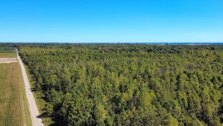 1 County Road 2600 E, Fairfield, IL 62837