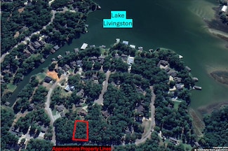 91 Twinstone Cir, Coldspring, TX 77331