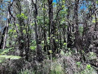 0 Road 5 (Uau) Unit 720930, Mountain View, HI 96760