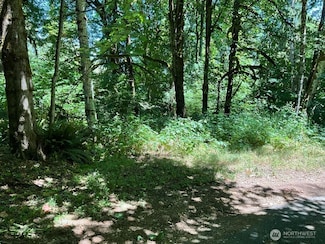 0 Lot 13 E Peyton Place, Shelton, WA 98584