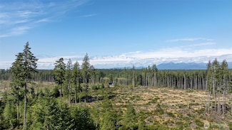 111 NE Ridgetop Ct, Belfair, WA 98528