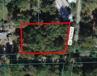 00 NE 213th Place, Fort Mc Coy, FL 32134