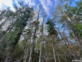 TBD Hardin-Reed Rd, White Hall, AR 71602