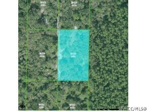 11077 N Clamdigger, Inglis, FL 34449