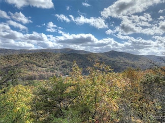 23 Acr Weaver Creek Rd, Blue Ridge, GA 30513