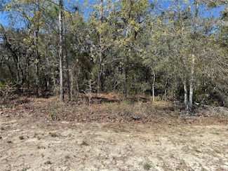 15061 Hummingbird Rd, Weeki Wachee, FL 34614