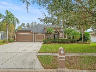 19113 Larchmont Dr, Odessa, FL 33556