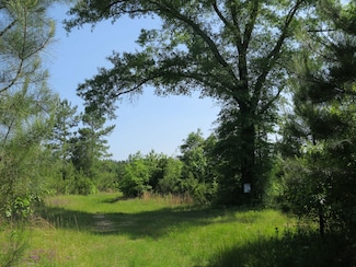 0 Dykes Chapel Rd Unit LotWP001 14571223, Richton, MS 39476
