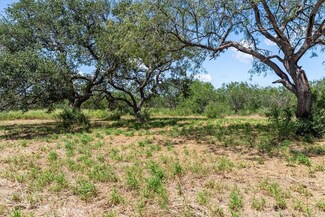 00 U S 181, Skidmore, TX 78389
