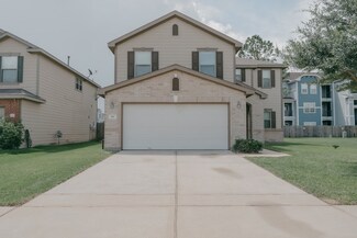 815 Leaholm Ln, Houston, TX 77090