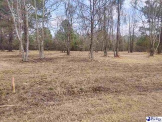 0 Waterway Court Lot 9 Unit 20220608, Latta, SC 29565