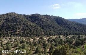 000 E Pine Cone Dr Unit 68, Hackberry, AZ 86411