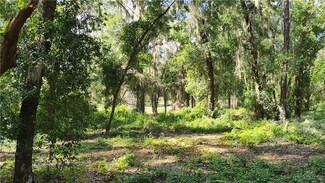 8600 E Lake Bradley Rd, Floral City, FL 34436