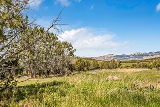 53873 Ie 3 4 Rd, Mesa, CO 81643