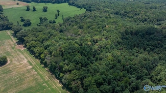 4 Acres Carters Gin Rd, Toney, AL 35773