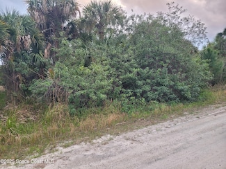 772 Sandlewood St, Palm Bay, FL 32908