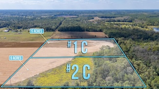 5 Acres - C2 McPhail Farm Rd, Florala, AL 36442