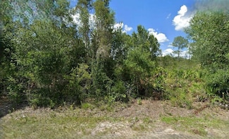 3606 57th St W, Lehigh Acres, FL 33971