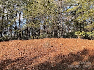 0 Waters Edge Dr Unit 16-15 & 17-15, Nebo, NC 28761
