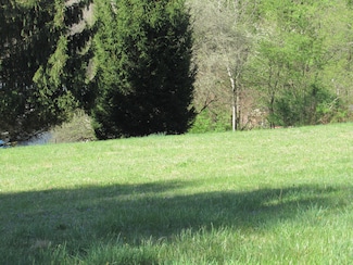 0 Hill St, Falls Creek, PA 15840