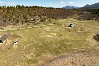 1121 Roush Dr, Pagosa Springs, CO 81147