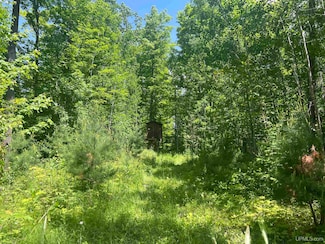 TBD 40 Acres Wilderness Trail, Crystal Falls, MI 49920
