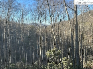 43 Silver Fox Dr, Blowing Rock, NC 28605