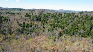 Lot 4 Peakes Hill Rd, Dedham, ME 04429