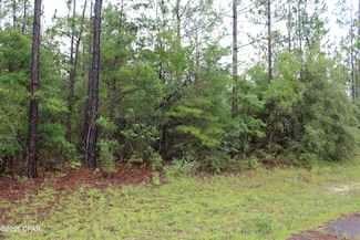 TBD Deborah Ave, Chipley, FL 32428